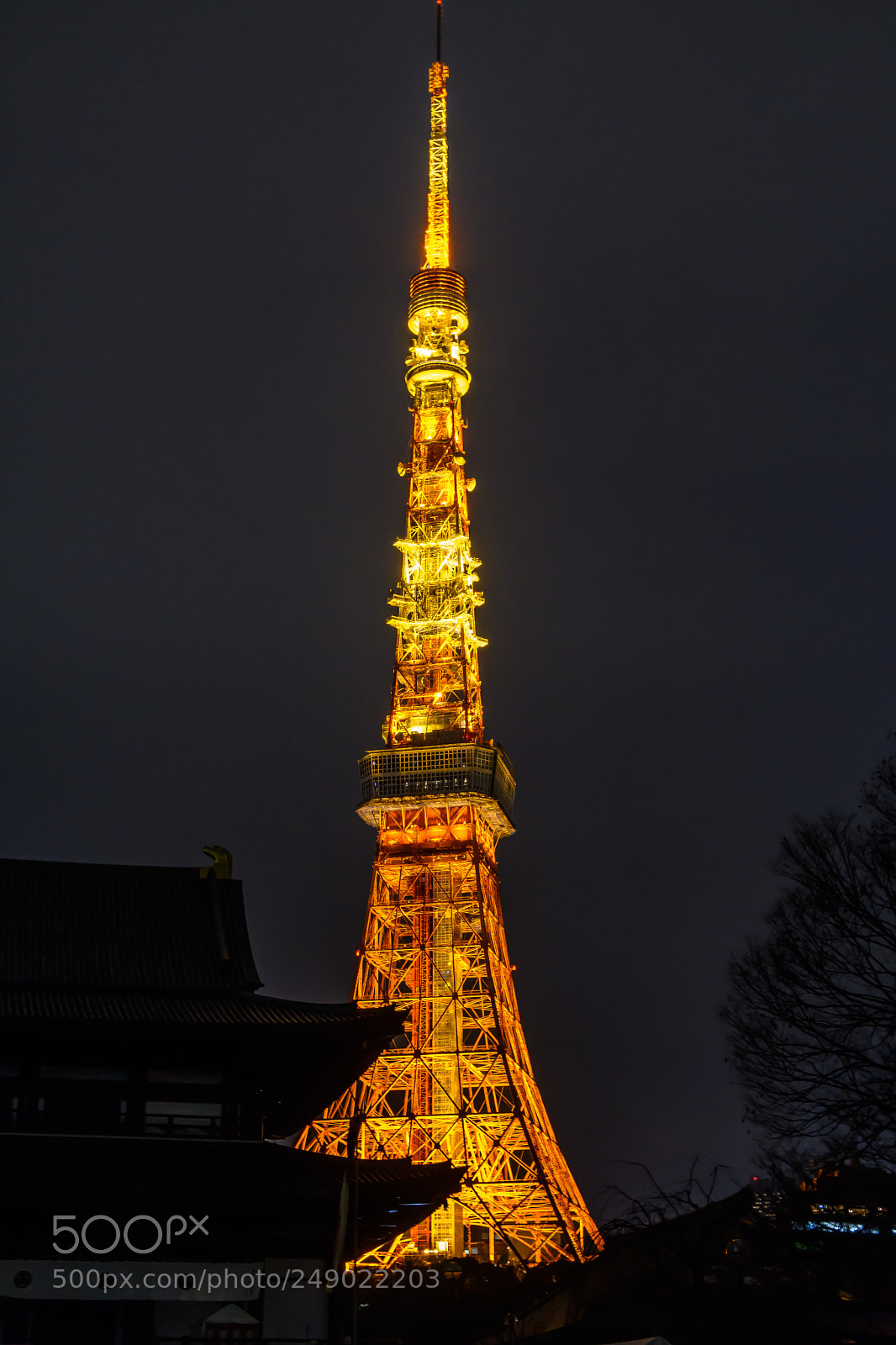 Nikon D500 sample photo. Behind the temple photography