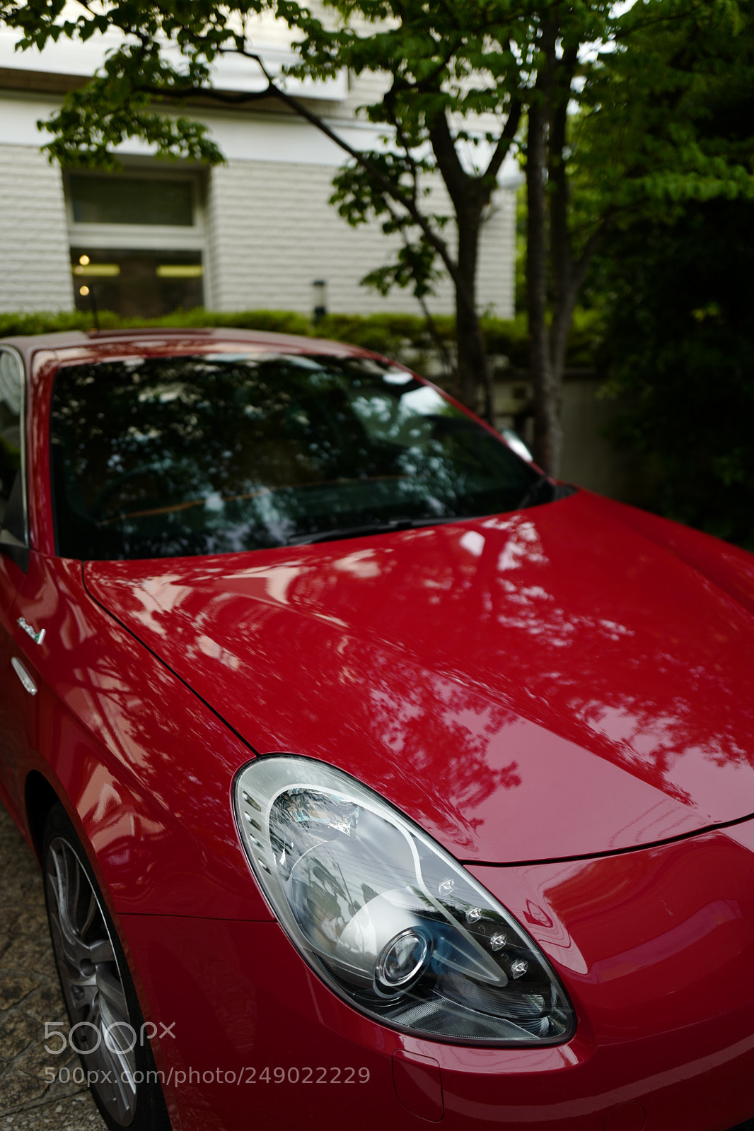 Leica Q (Typ 116) sample photo. Untitled photography