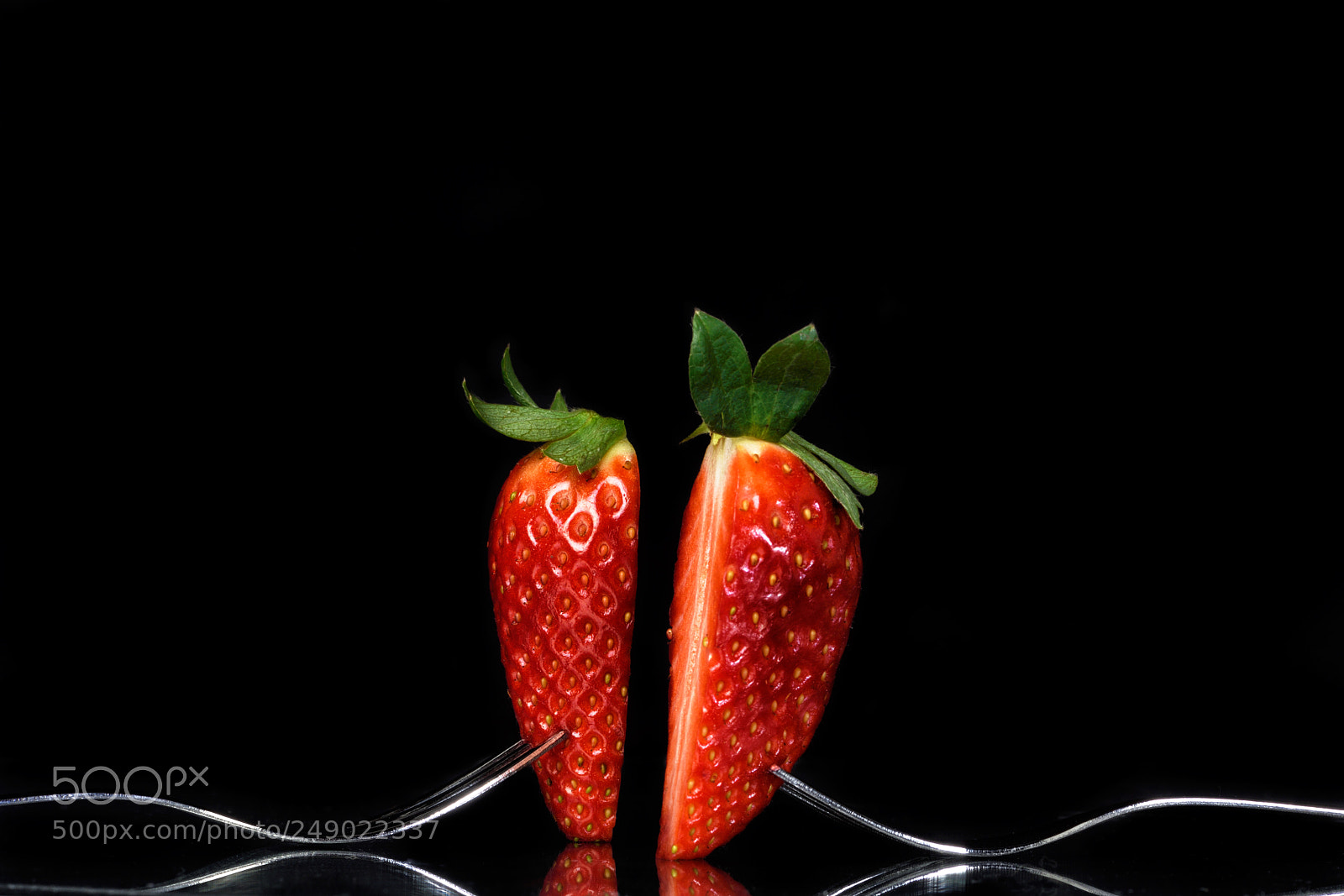 Nikon D810 sample photo. Lovely still life clxxii photography