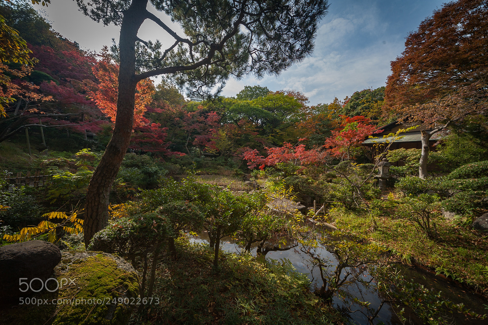 Canon EOS 5D sample photo. Nezu museum gardens, tokyo photography