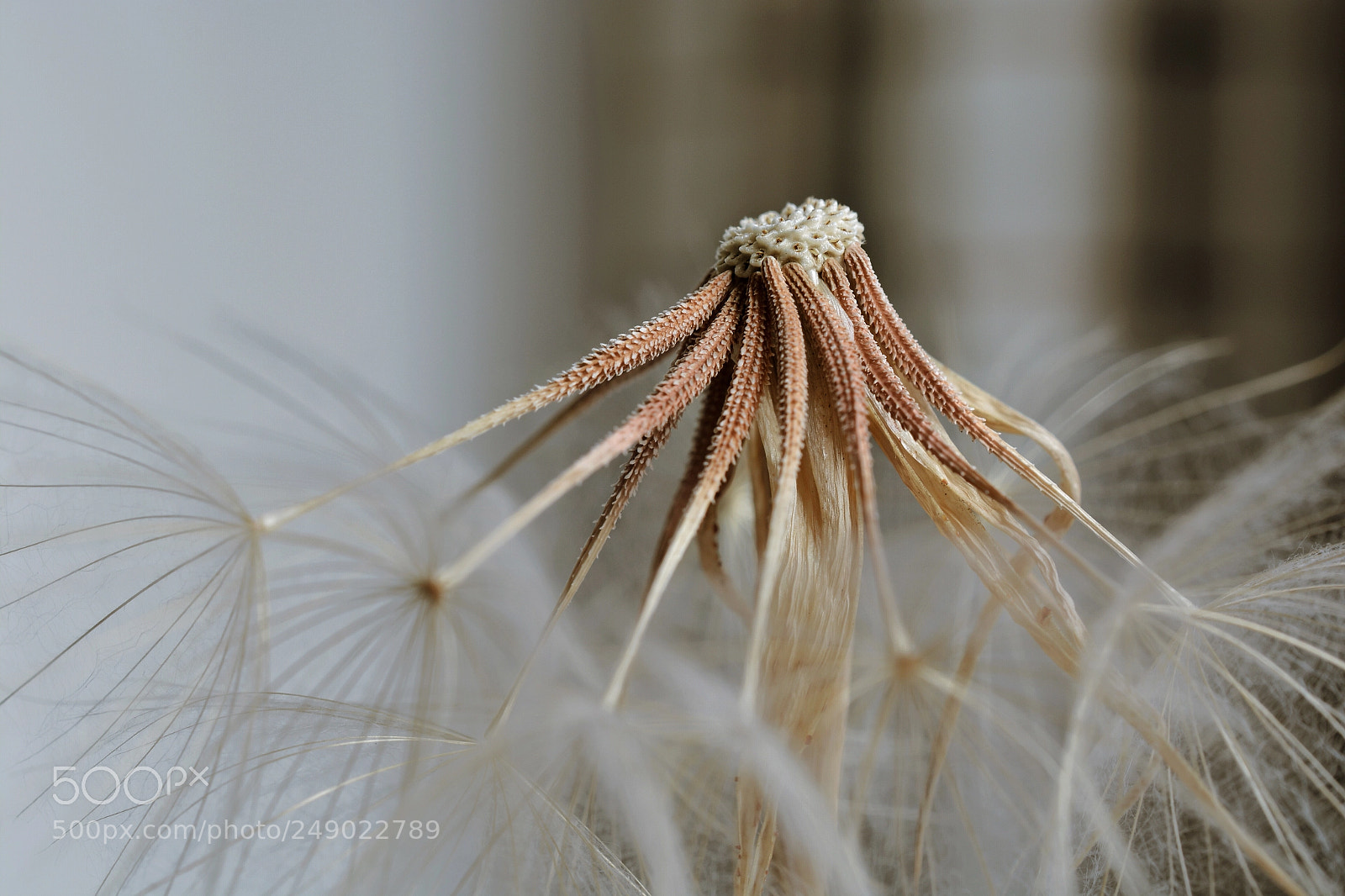 Nikon D7100 sample photo. Fafcb adafed photography