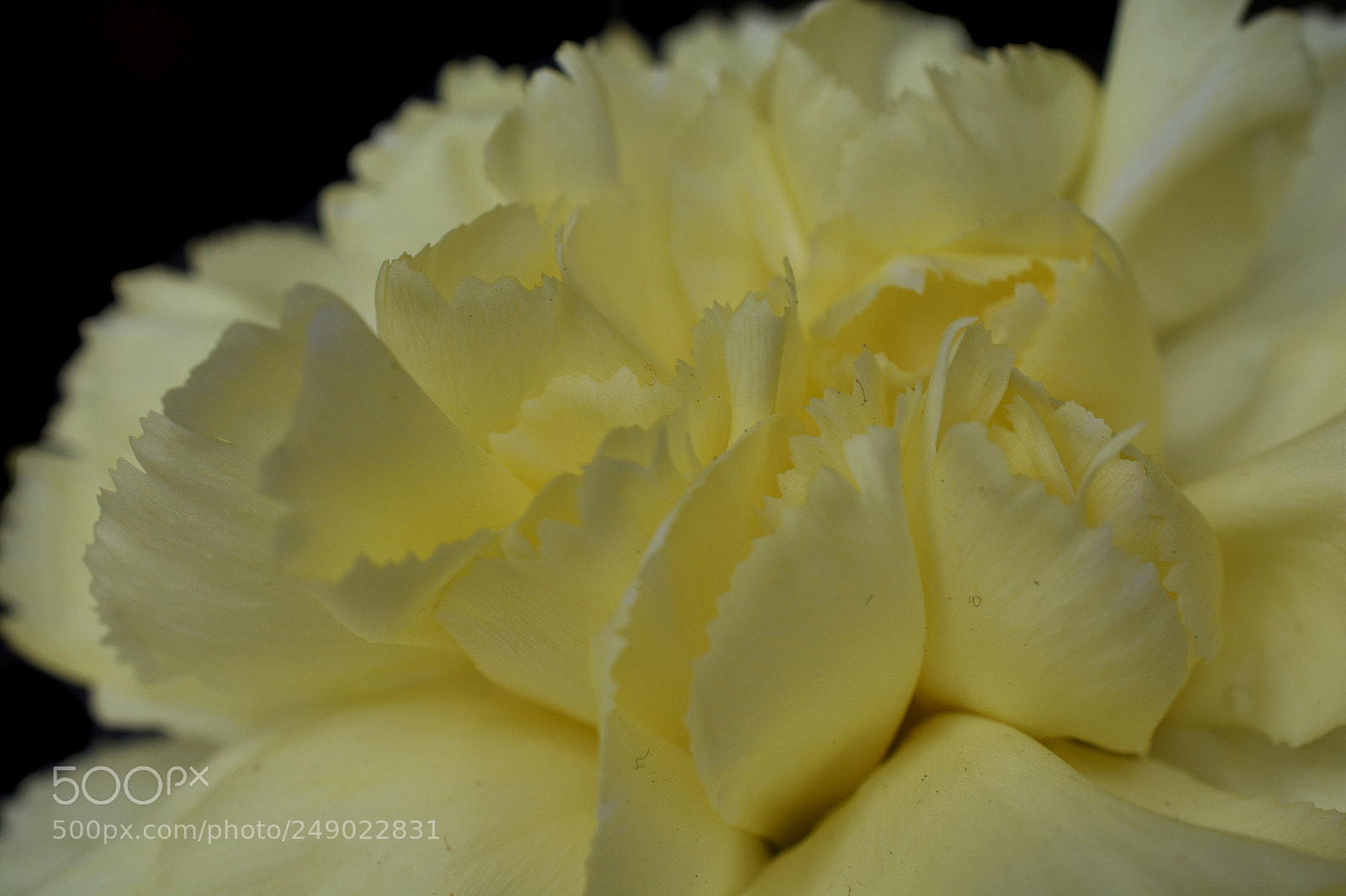 Nikon D7100 sample photo. Fcfb bfa fb debfdae photography