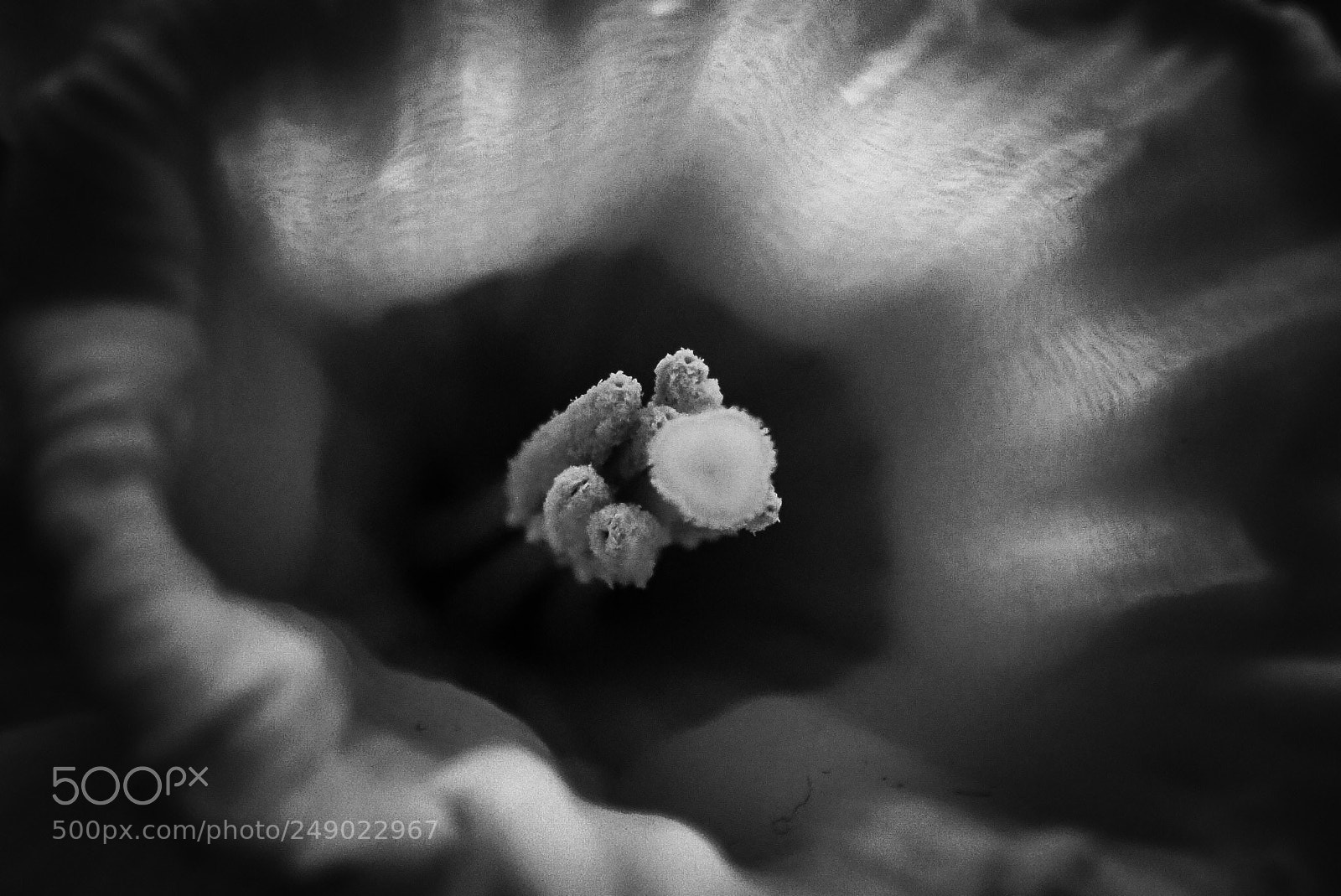 Olympus TG-5 sample photo. Le trou noir photography