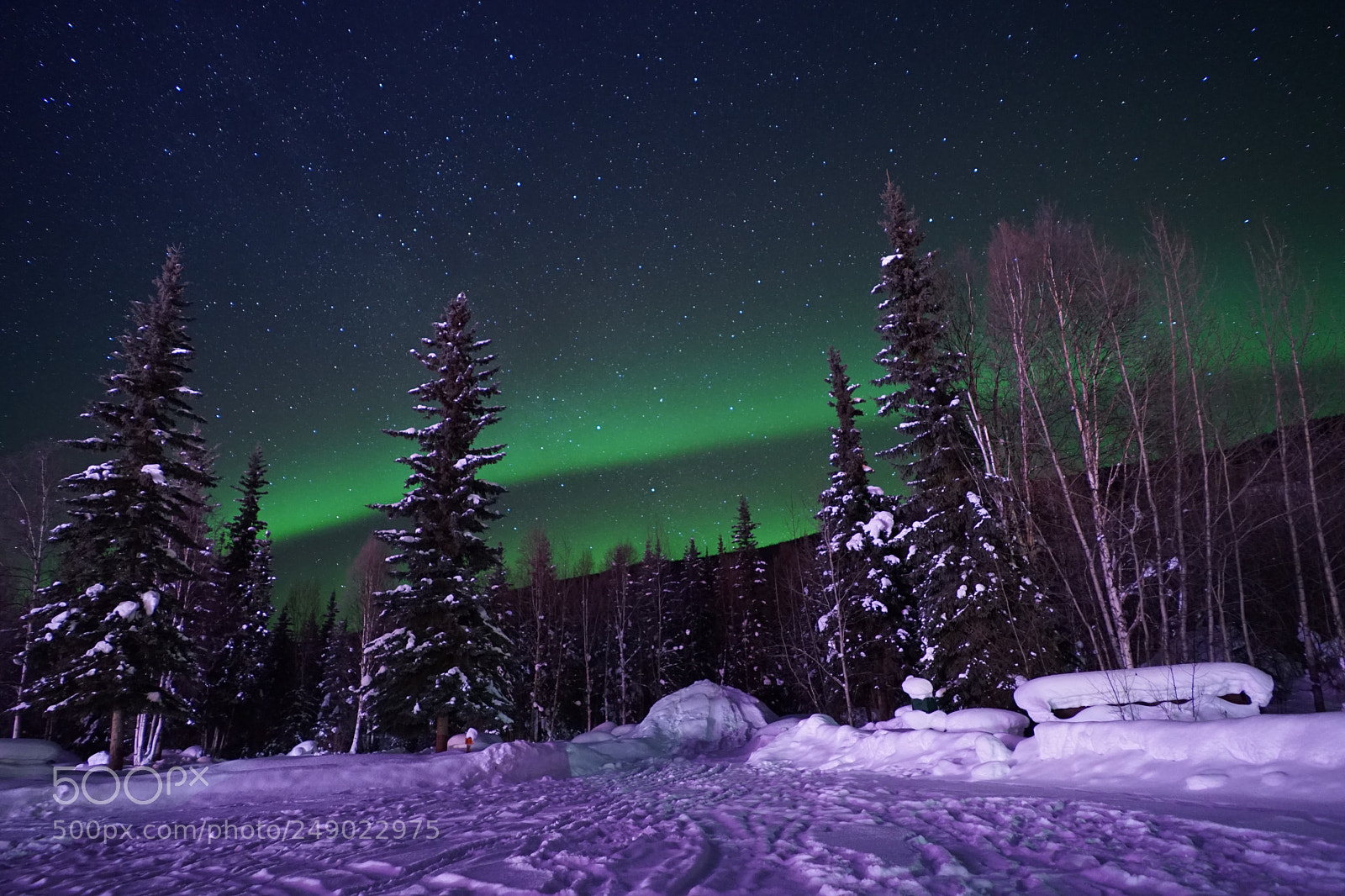 Sony a7 II sample photo. Aurora, fairbanks, alaska photography