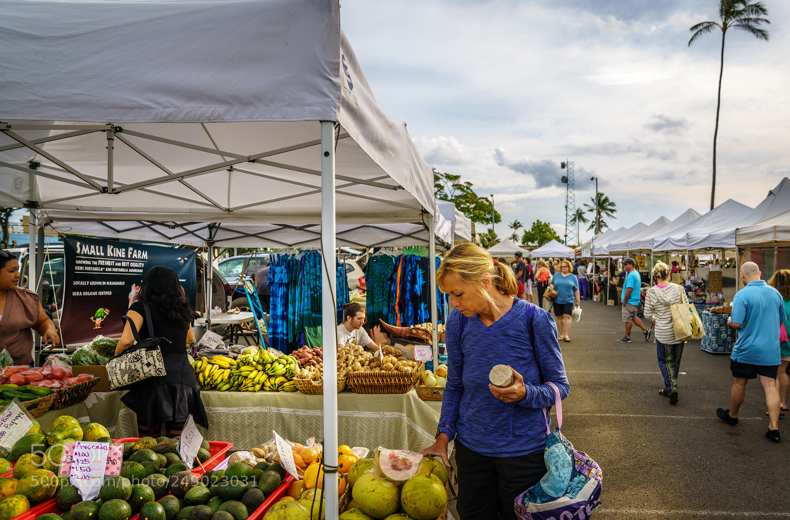 Sony a7R III sample photo. Kailua farmer's market photography