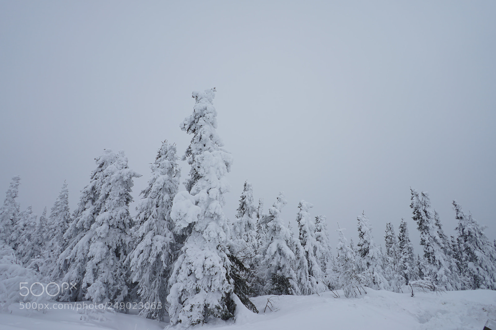 Sony a7 II sample photo. Fairbanks, alaska photography