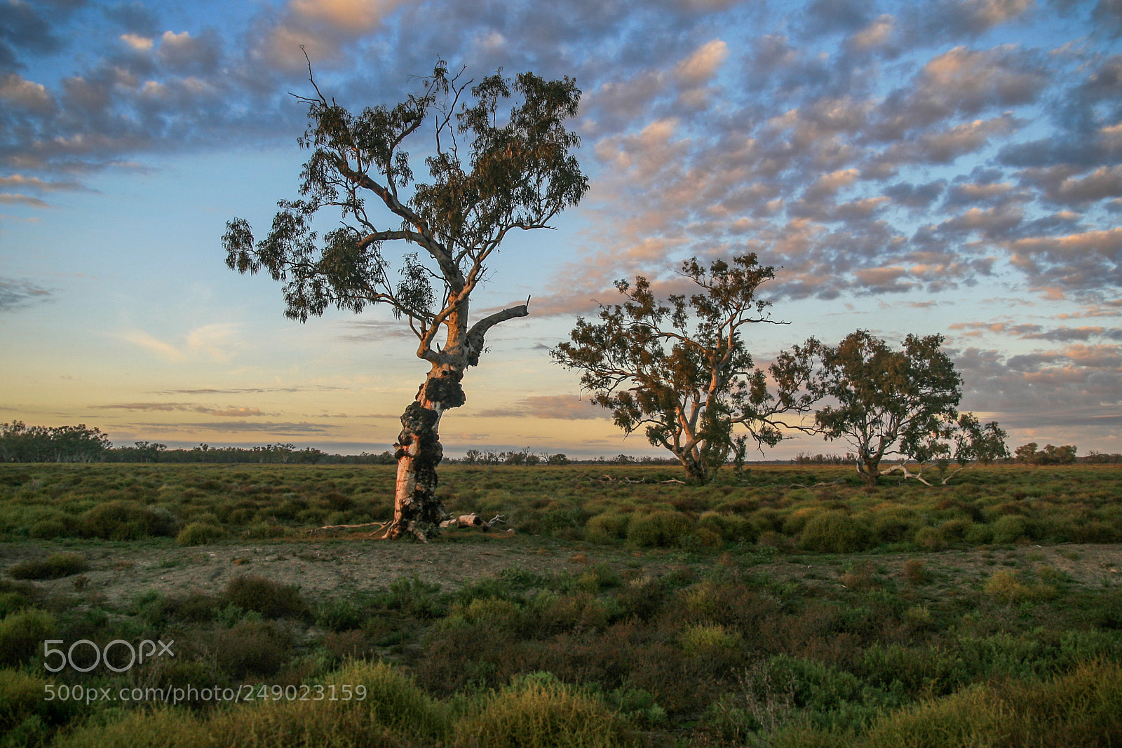 Canon EOS 30D sample photo. Outback nsw photography