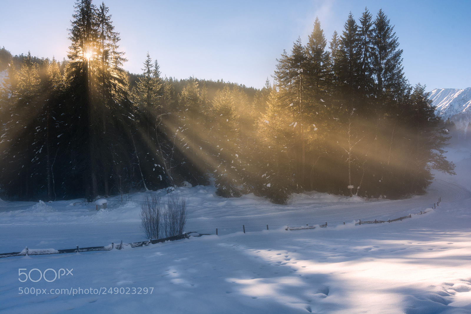 Nikon D7100 sample photo. Sun rays photography