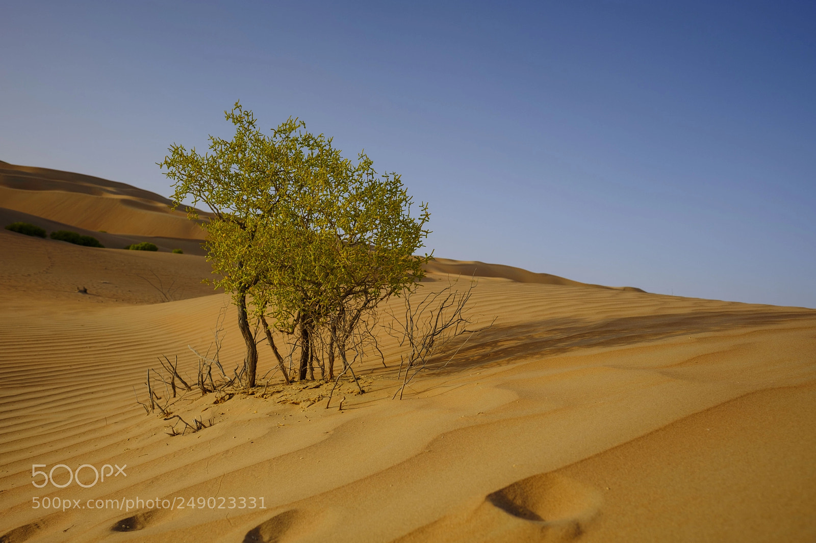 Fujifilm X-T2 sample photo. Qasr al sarab desert photography