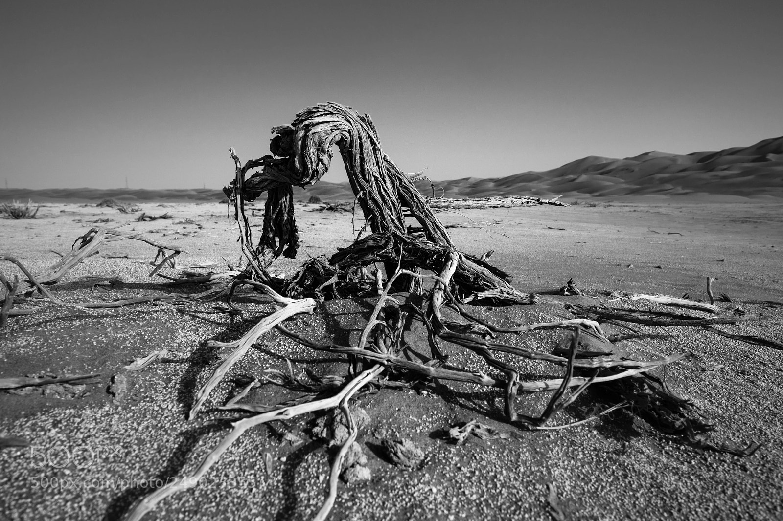 Fujifilm X-T2 sample photo. Qasr al sarab desert photography