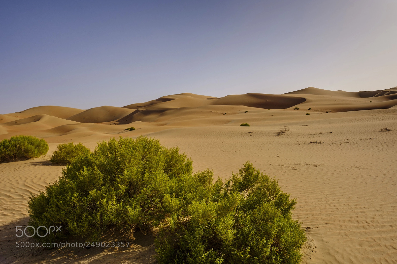 Fujifilm X-T2 sample photo. Qasr al sarab desert photography