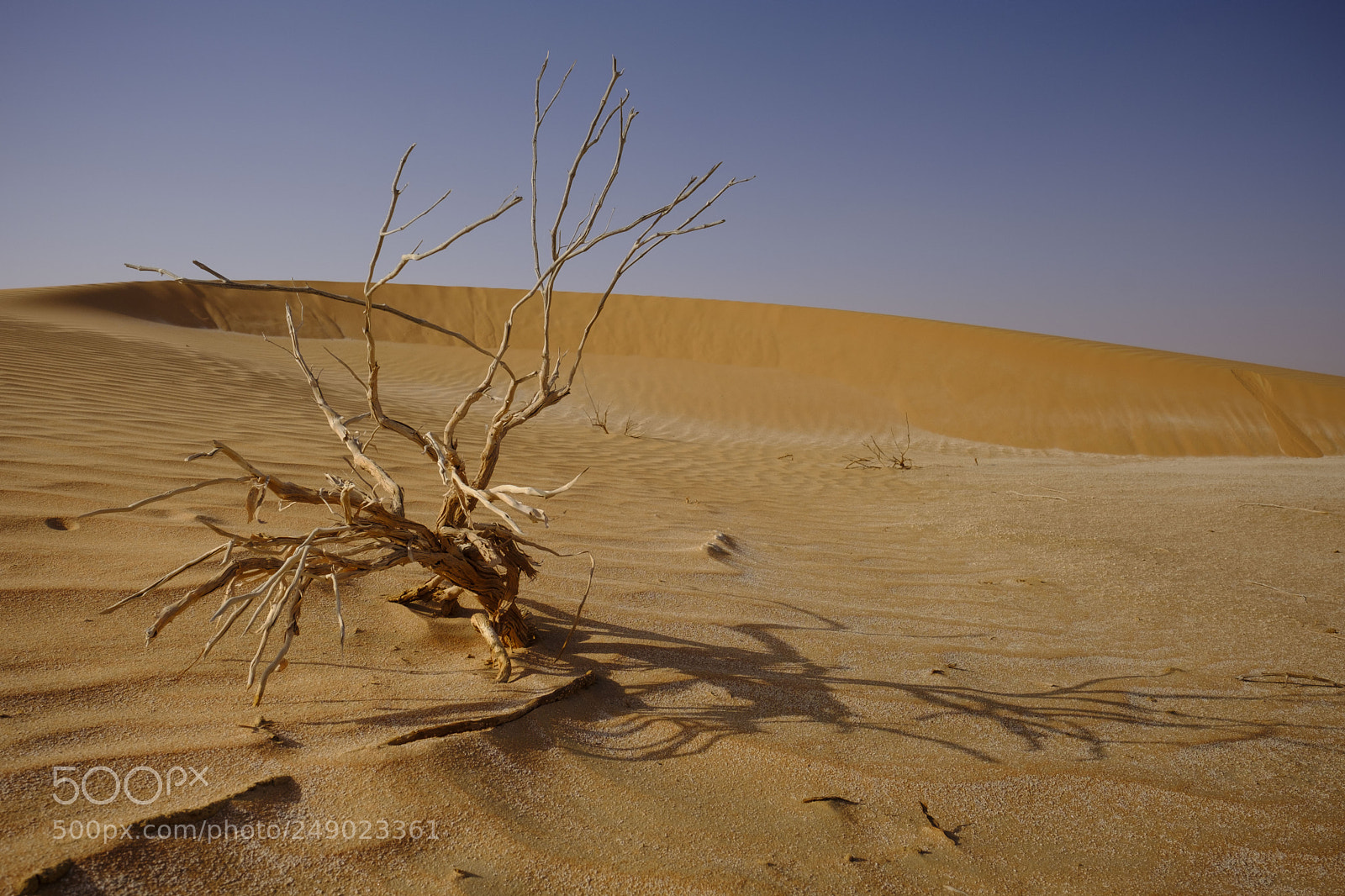 Fujifilm X-T2 sample photo. Qasr al sarab desert photography