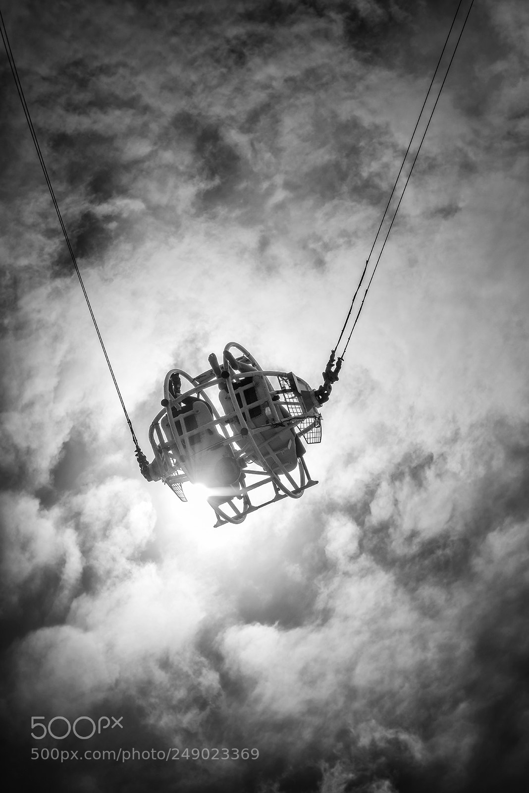 Nikon D810 sample photo. Flying high photography