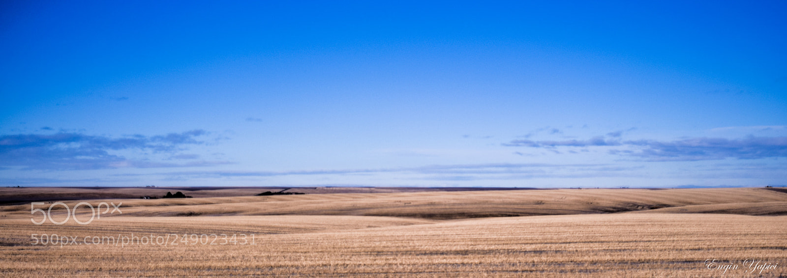 Nikon D3300 sample photo. Field photography