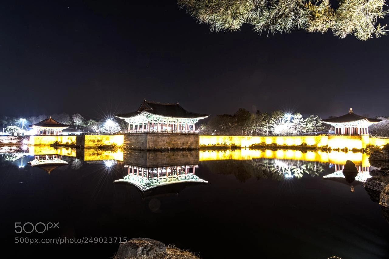 Nikon D810 sample photo. Garden of korea photography