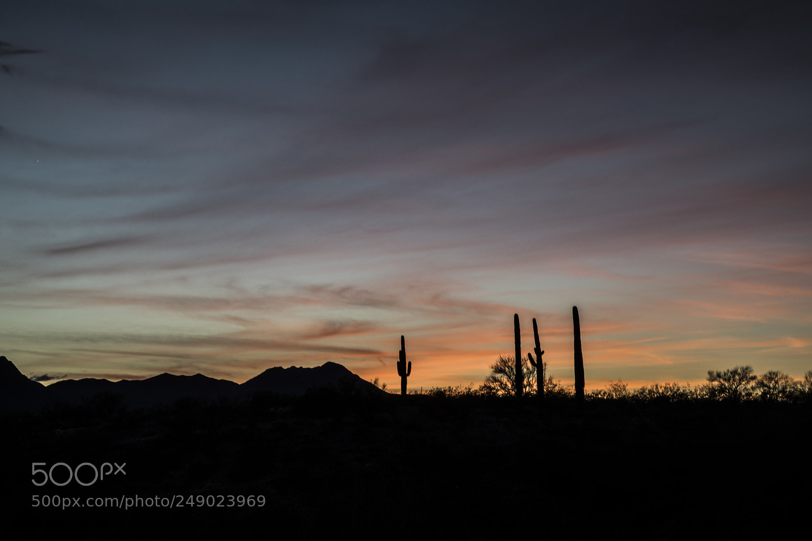 Canon EOS 5D Mark IV sample photo. Tucson sunset photography