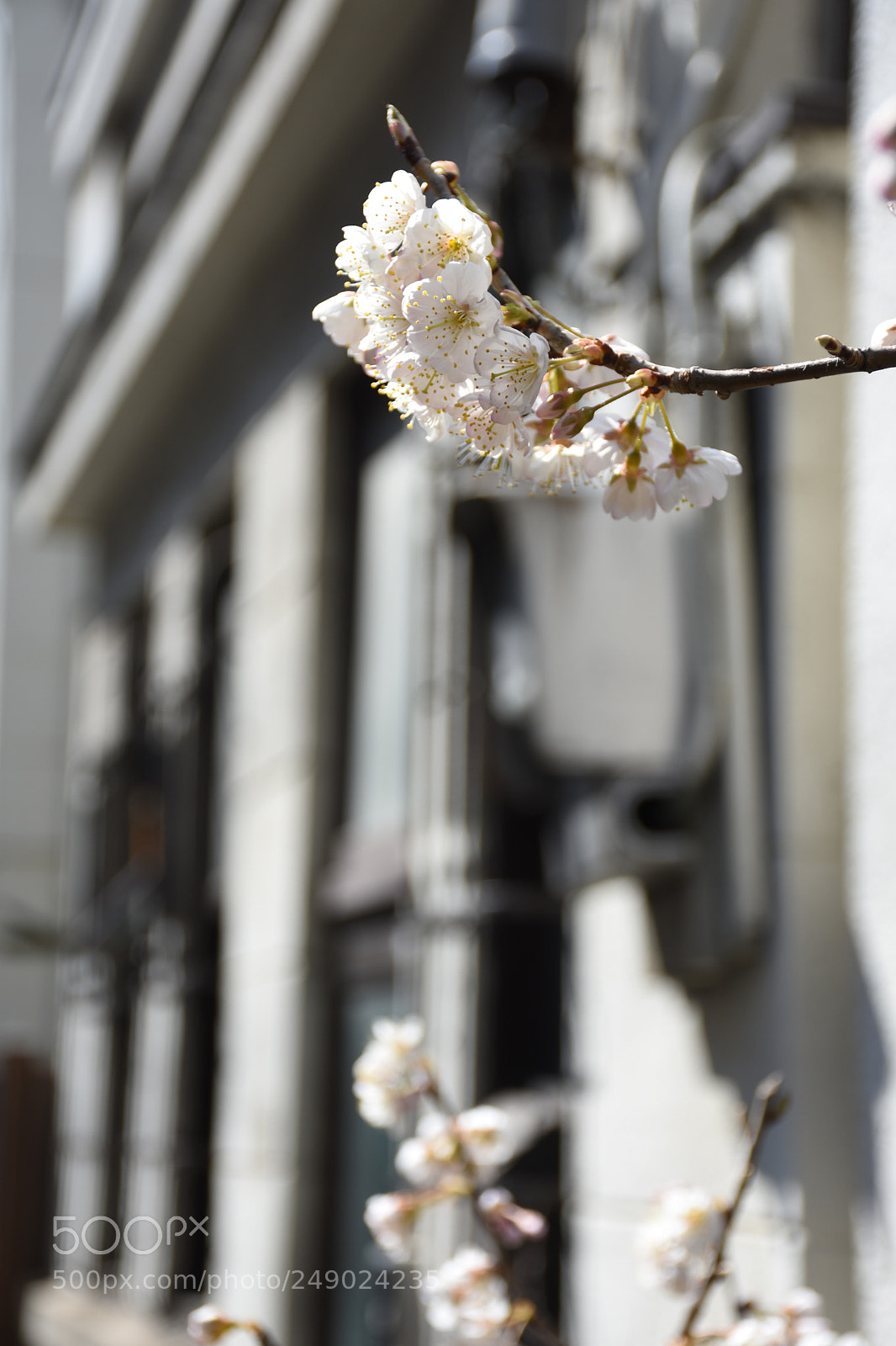 Nikon D7200 sample photo. Untitled photography