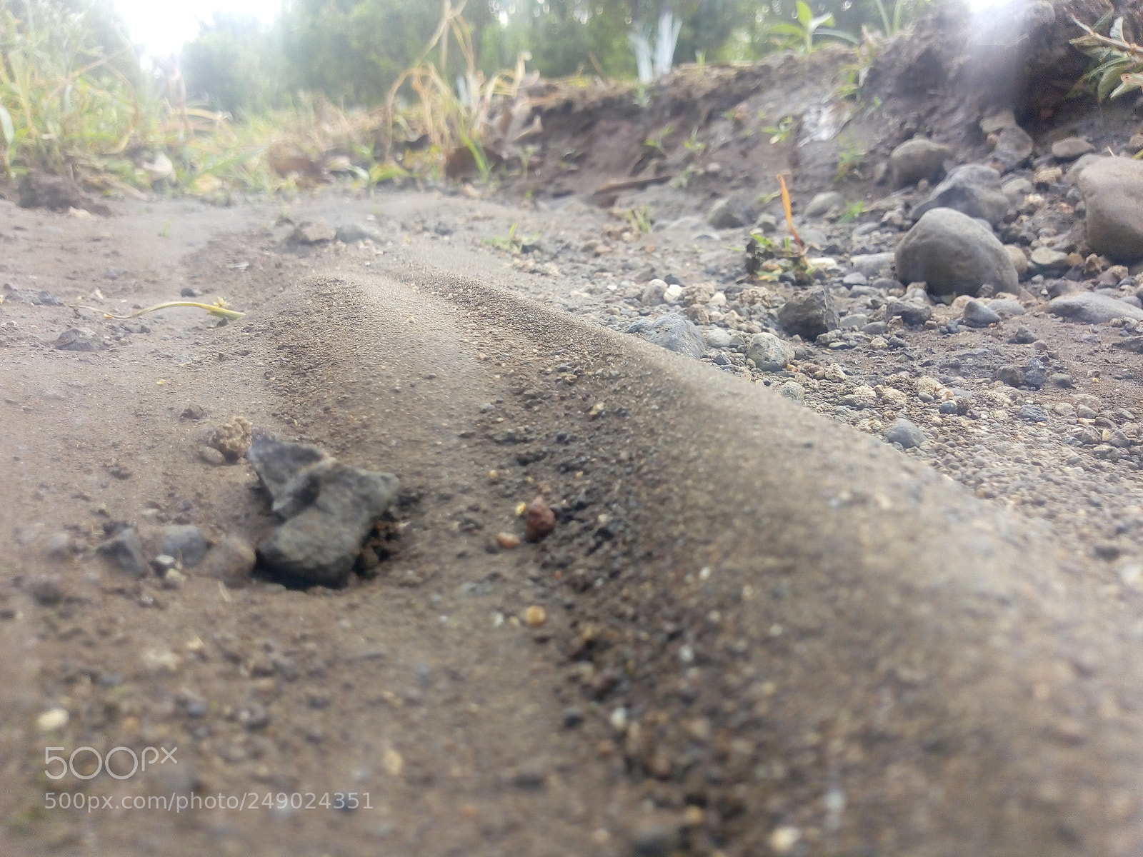 Motorola Moto E (4) Plus sample photo. ������������������������������� photography