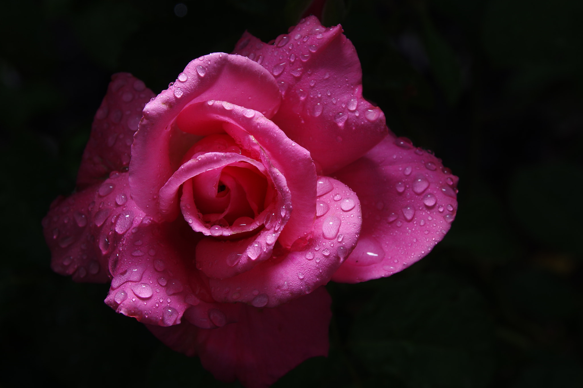 Pentax K-3 II sample photo