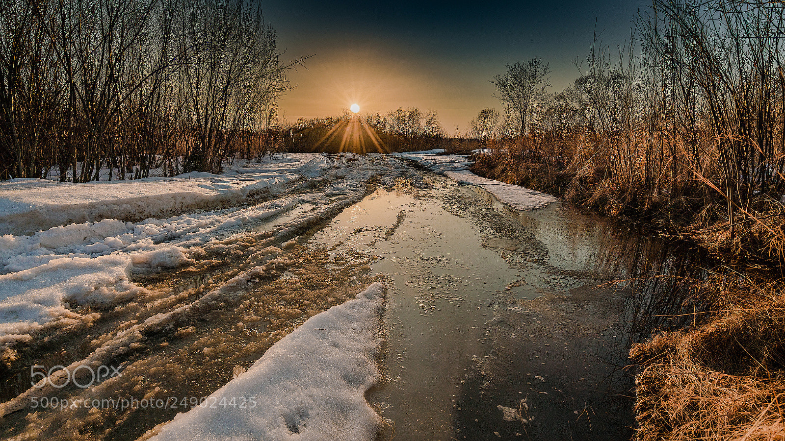 Sony a7R II sample photo. Early spring. photography