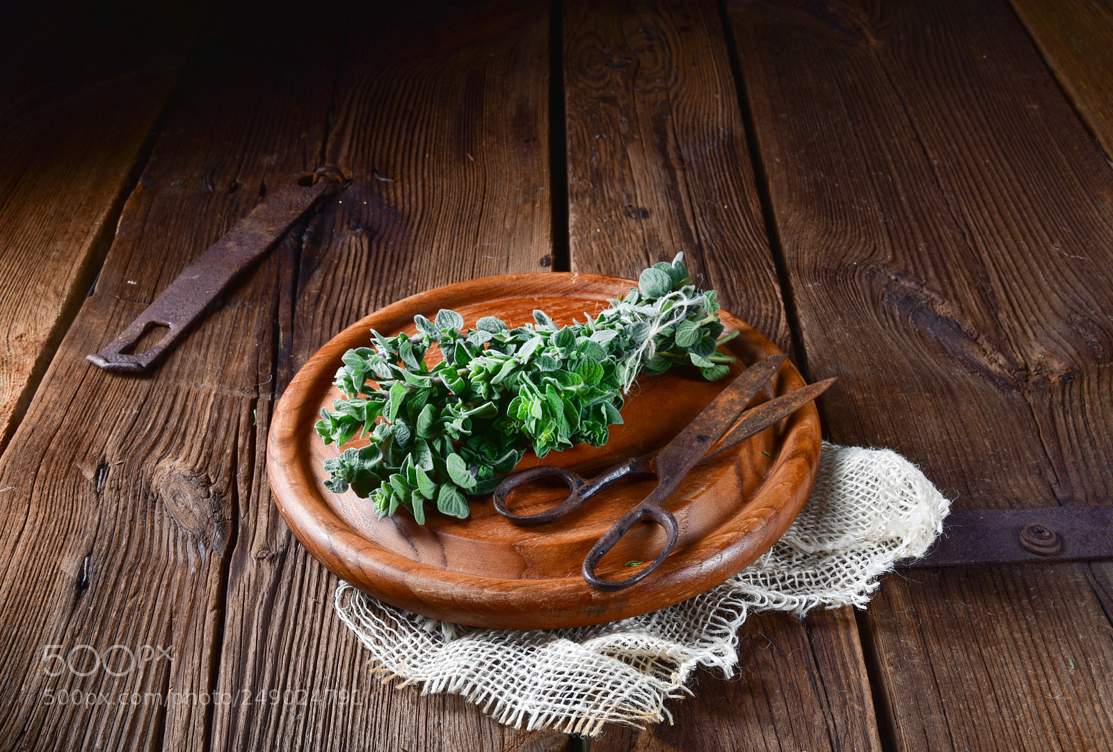 Nikon D810 sample photo. Aromatische oregano (origanum vulgare) photography