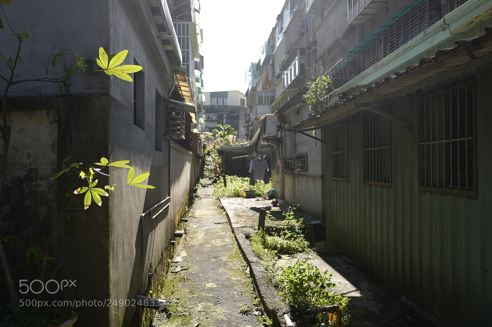 Leica Q (Typ 116) sample photo. 房屋背後的春色，像小時候的趣味時光 photography