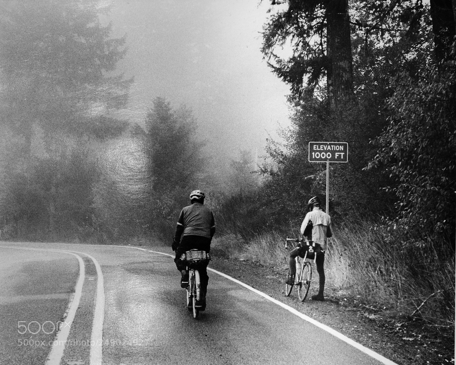 Sony a7 II sample photo. Timber road photography