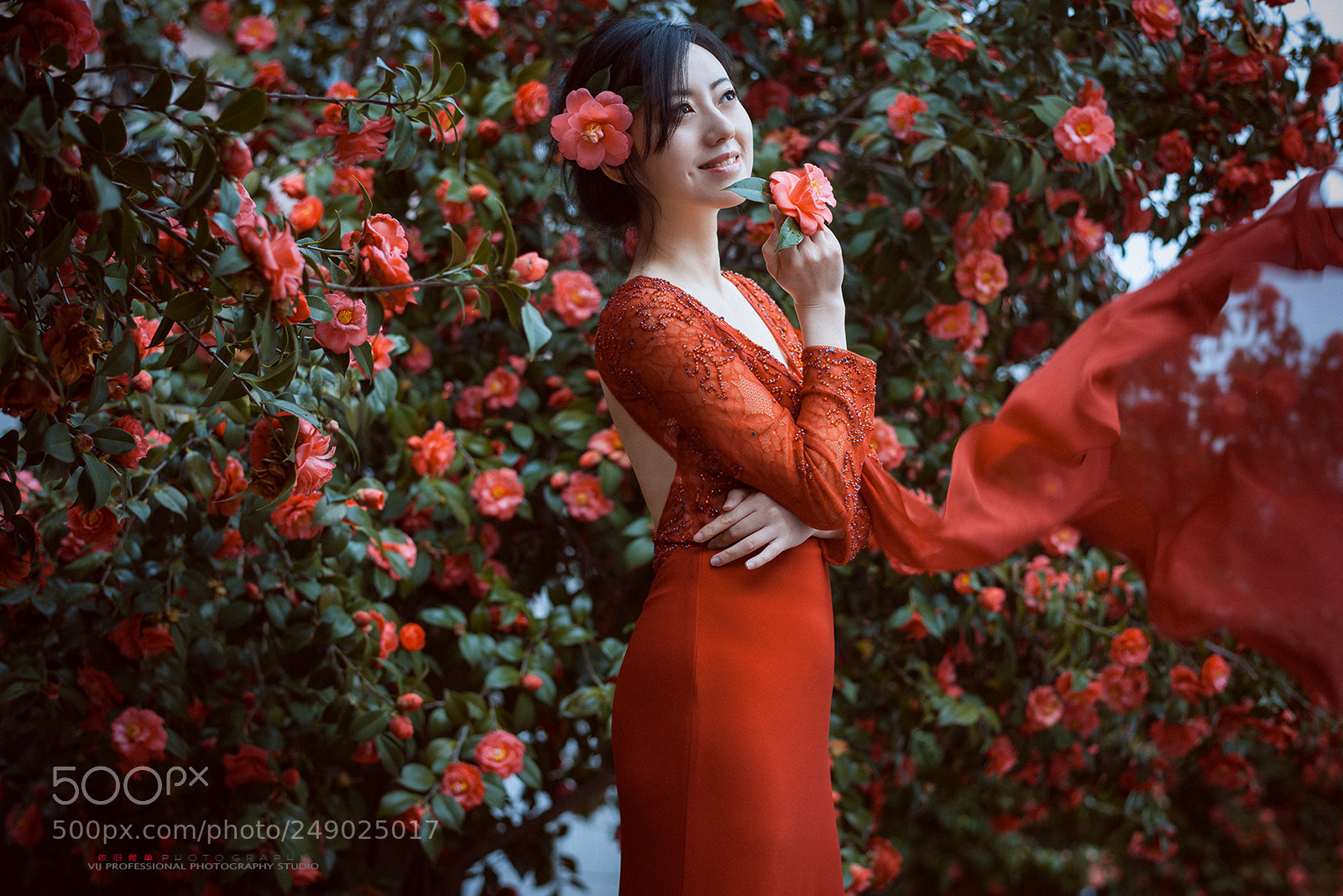 Nikon D3X sample photo. Flower photography
