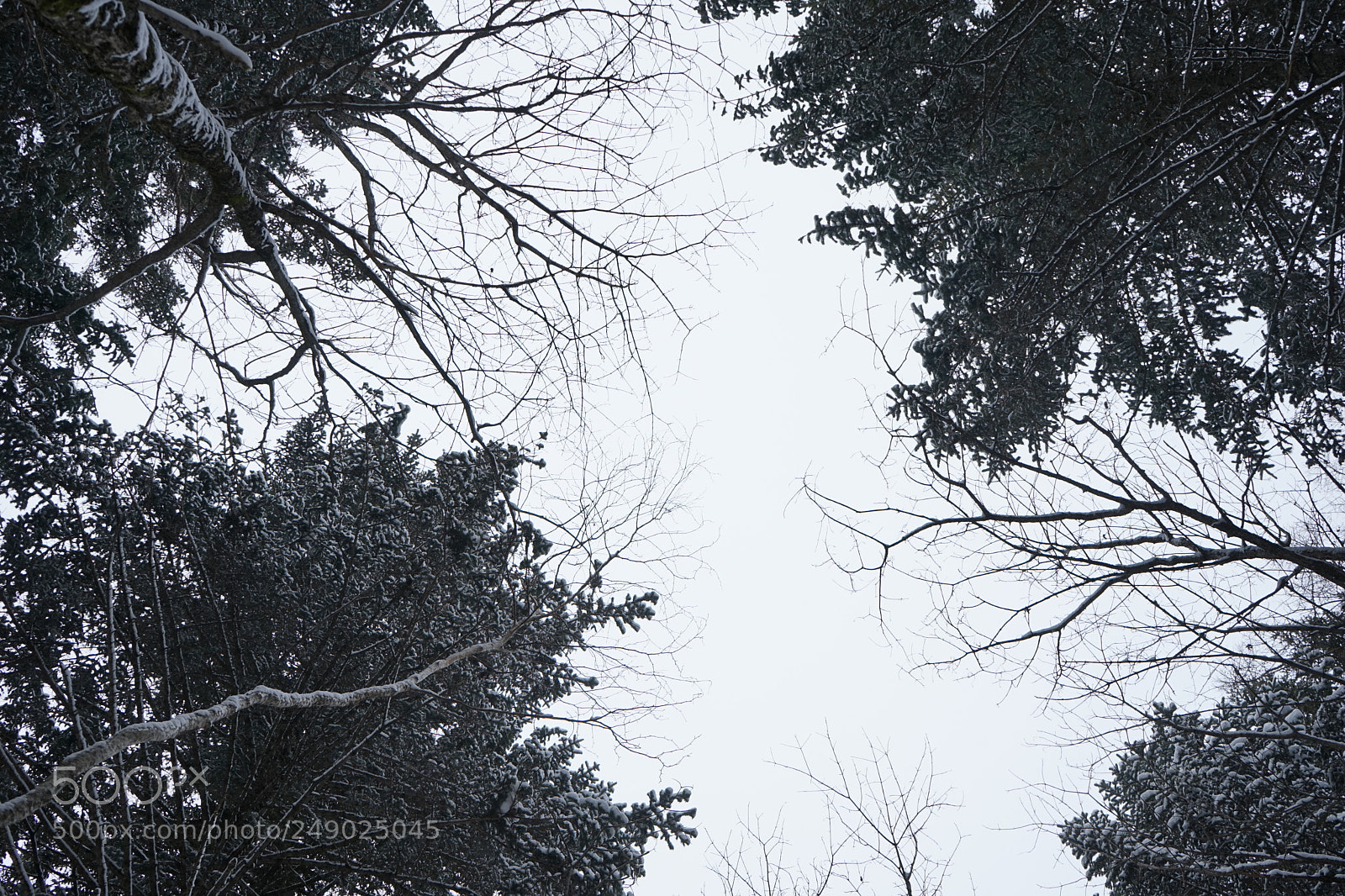 Sony a7 sample photo. Untitled photography