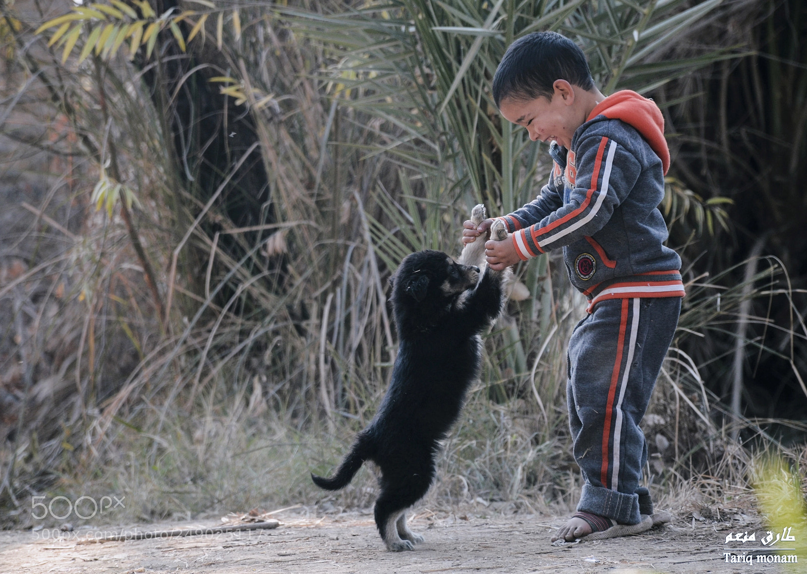 Nikon D7000 sample photo. Untitled photography