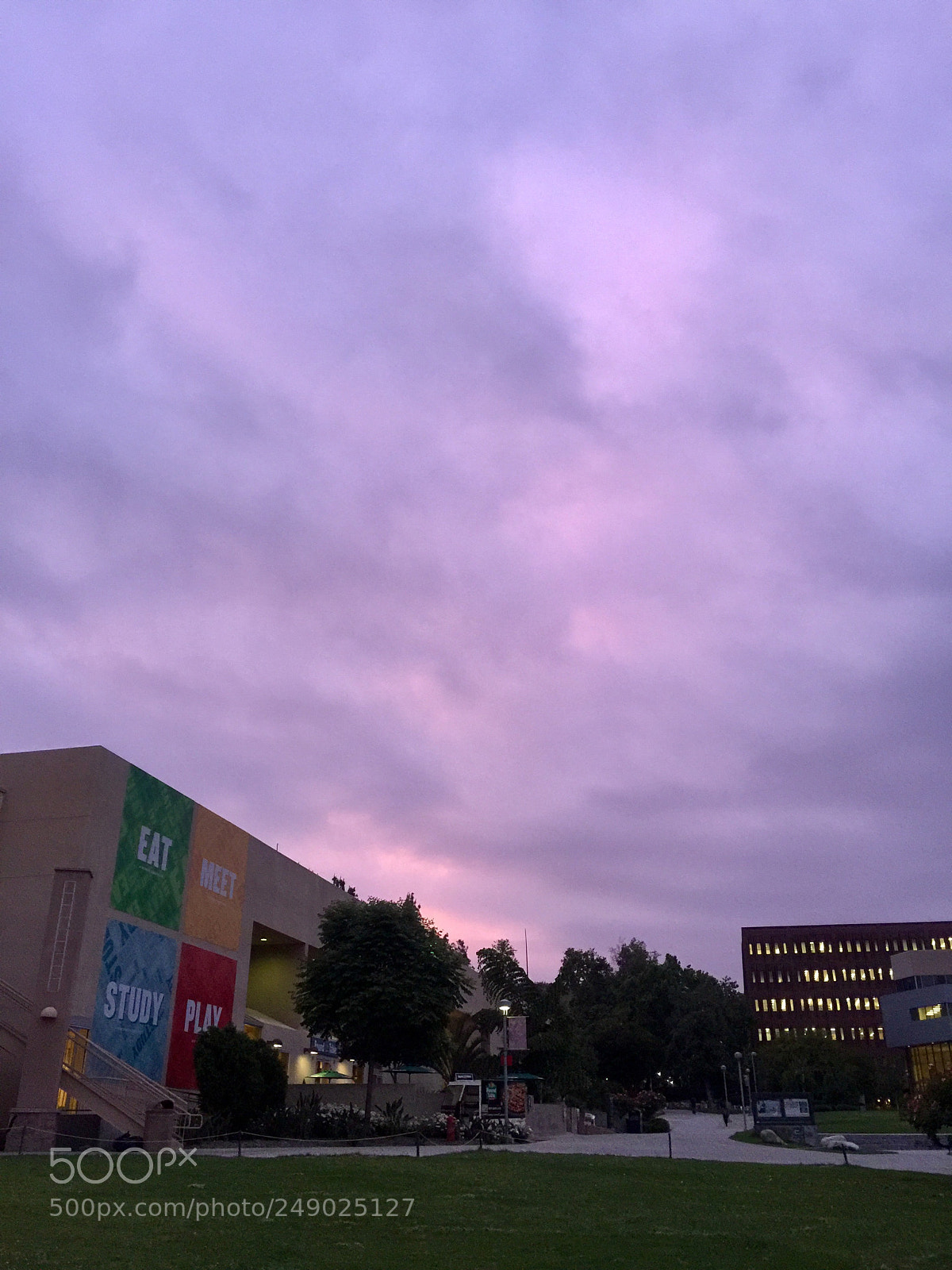 Apple iPhone 6 Plus sample photo. A view of my photography