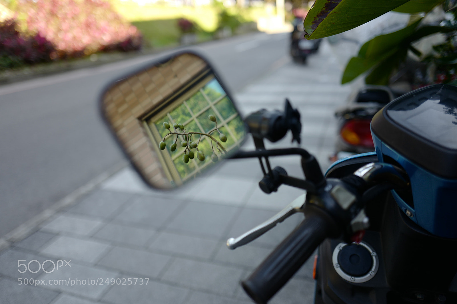 Leica Q (Typ 116) sample photo. 不知道名字也不知道種類的果子 photography