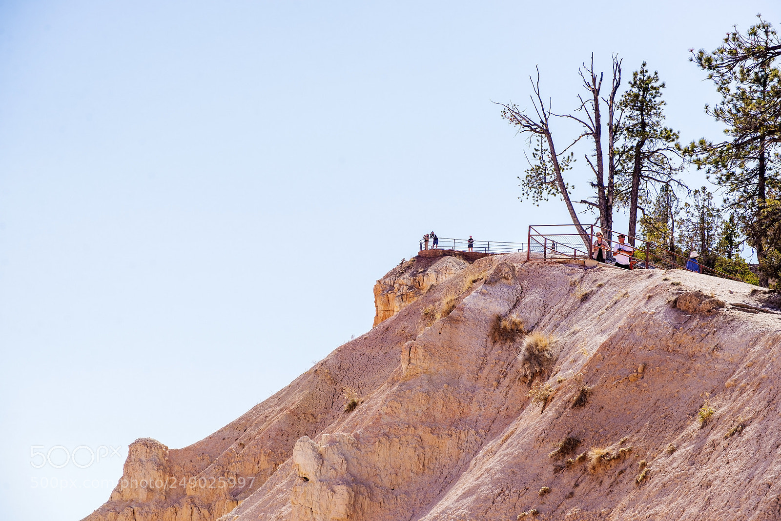 Nikon D600 sample photo. Vantage point (1) photography