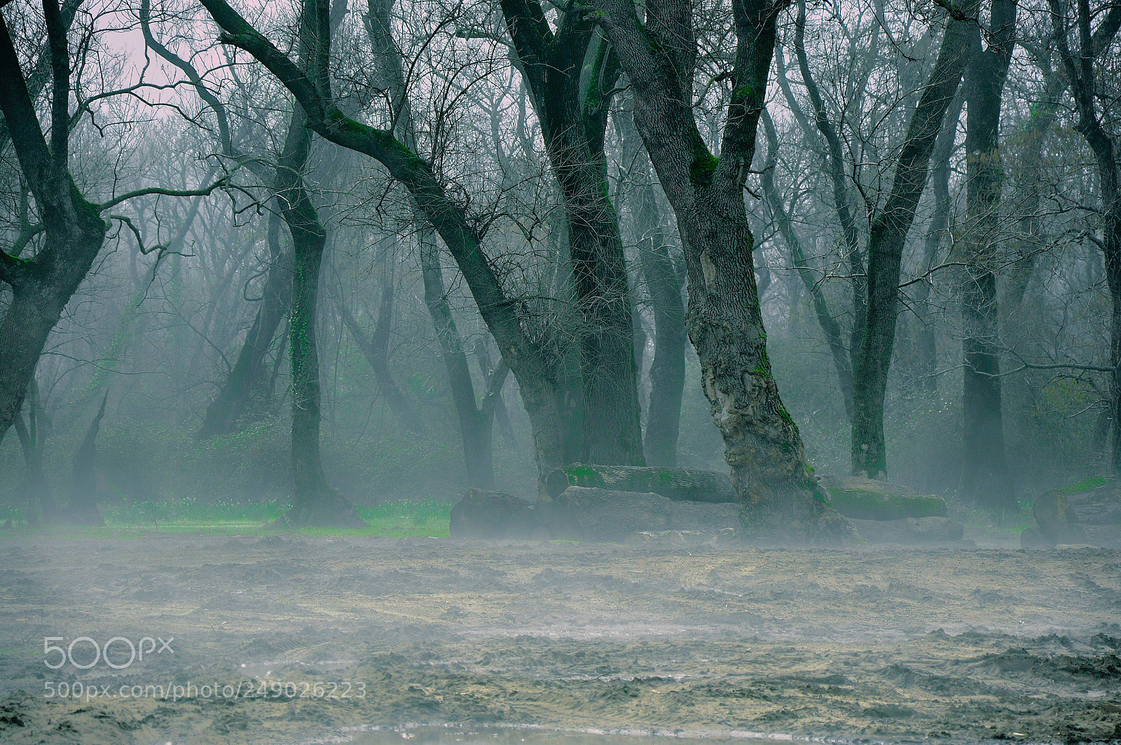 Nikon D90 sample photo. Untitled photography