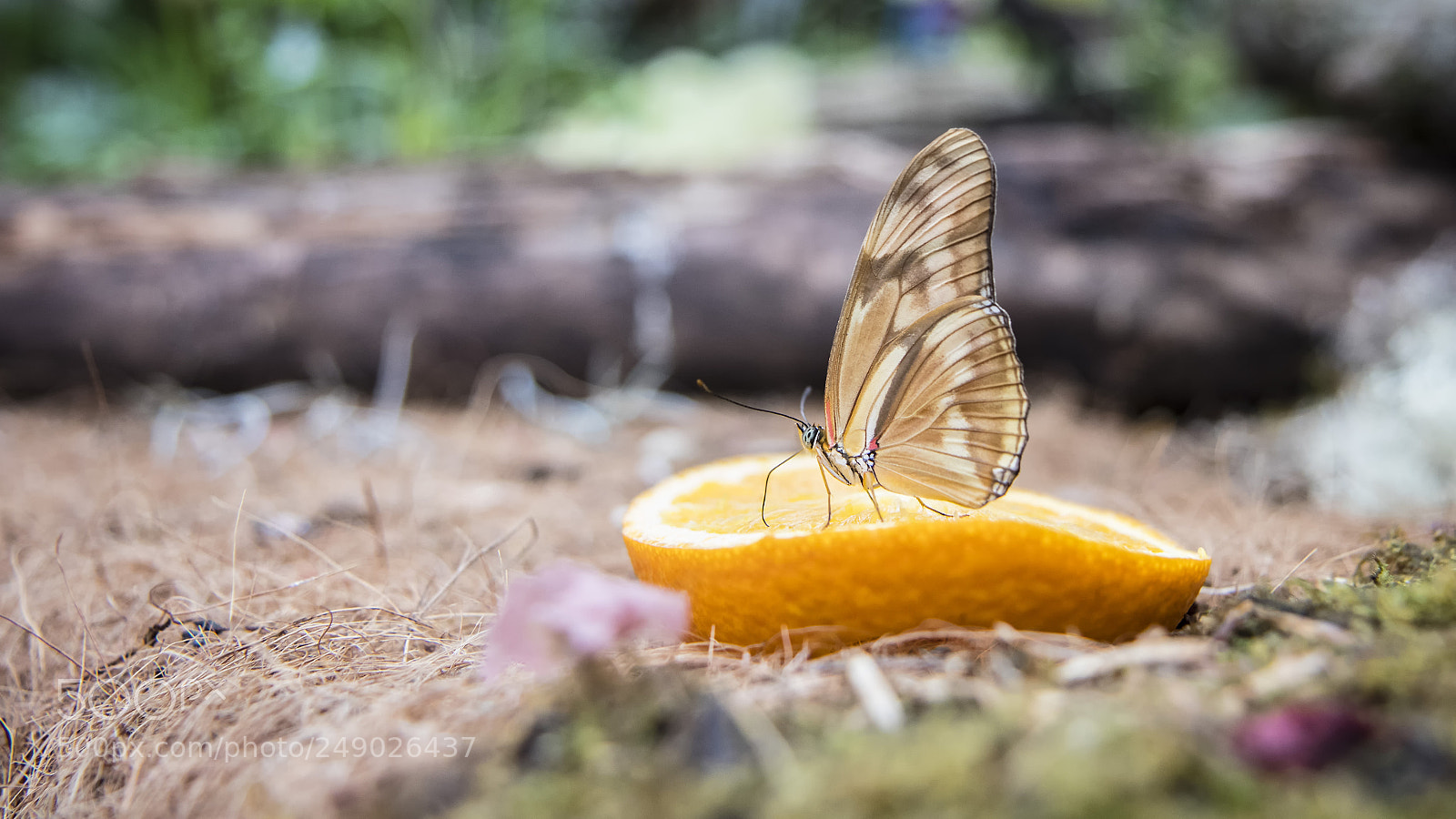 Canon EOS 80D sample photo. At lunch photography