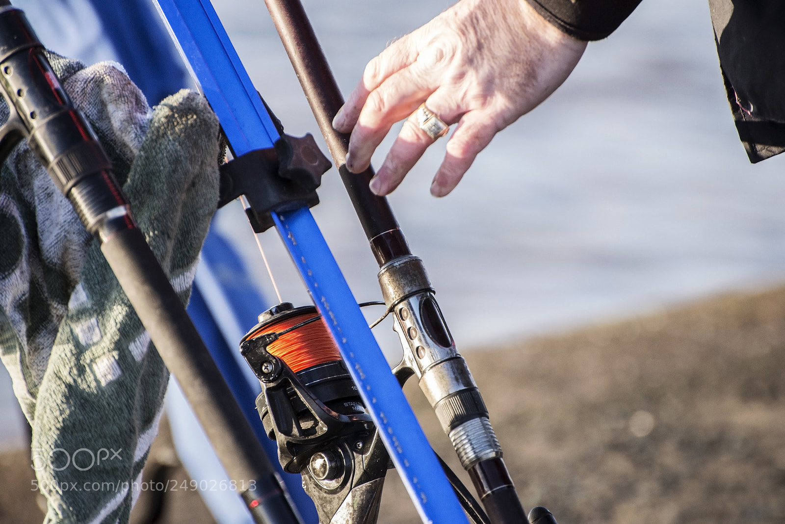 Nikon D600 sample photo. Reaching for one (1) photography