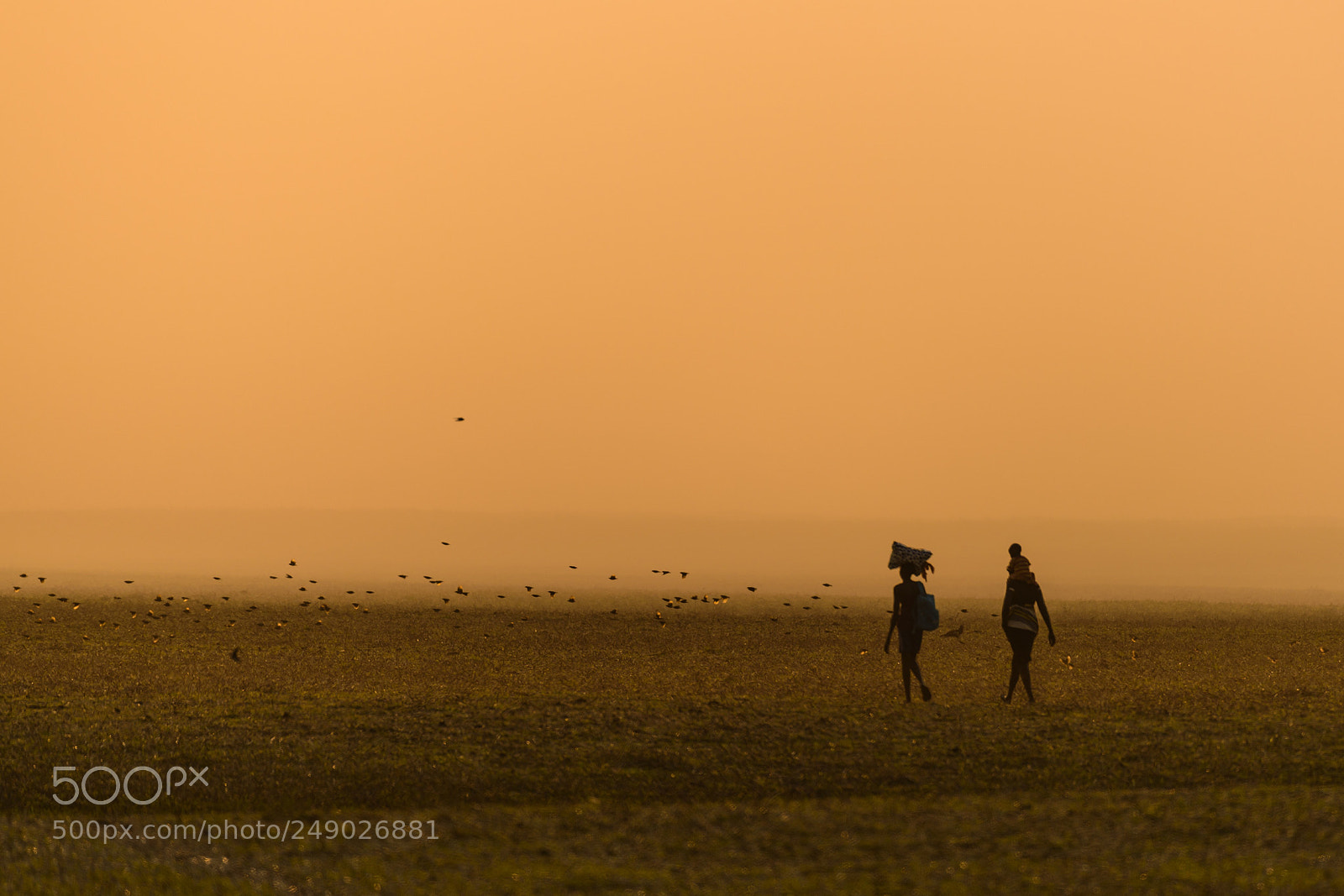 Nikon D810 sample photo. Homeward photography