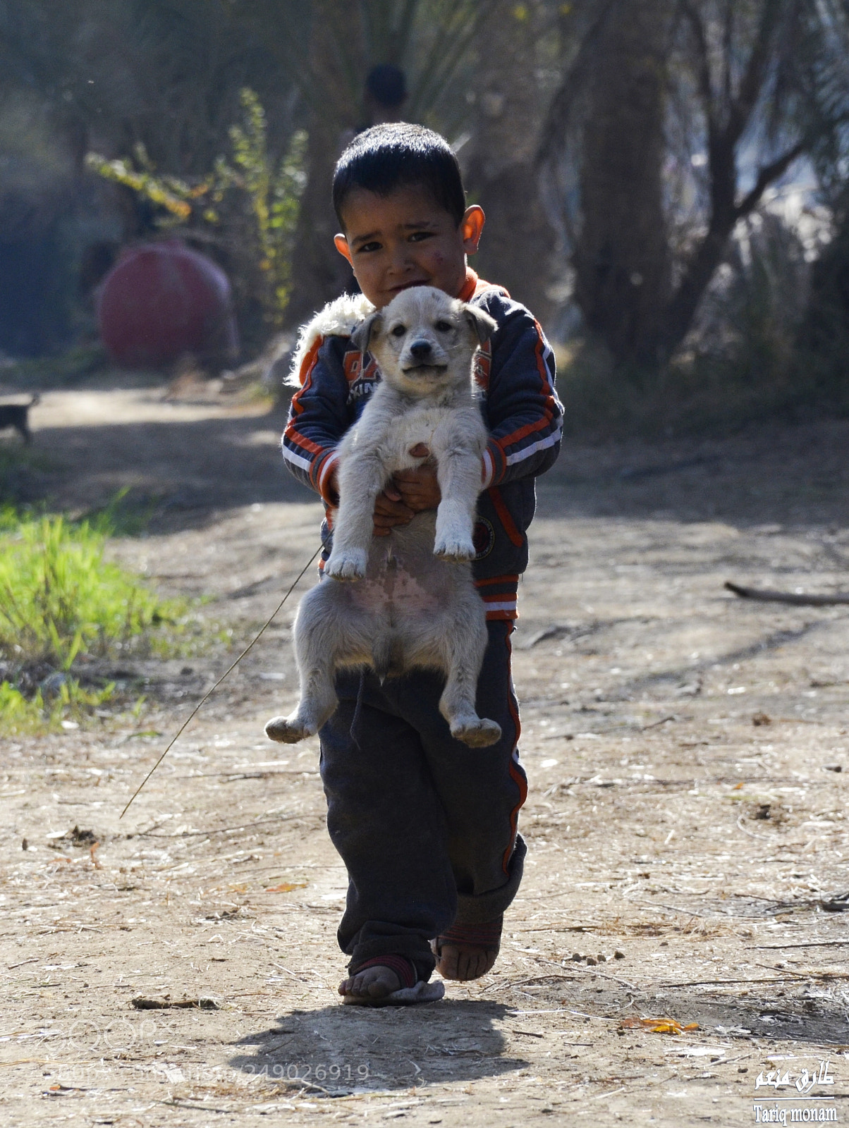 Nikon D7000 sample photo. Untitled photography