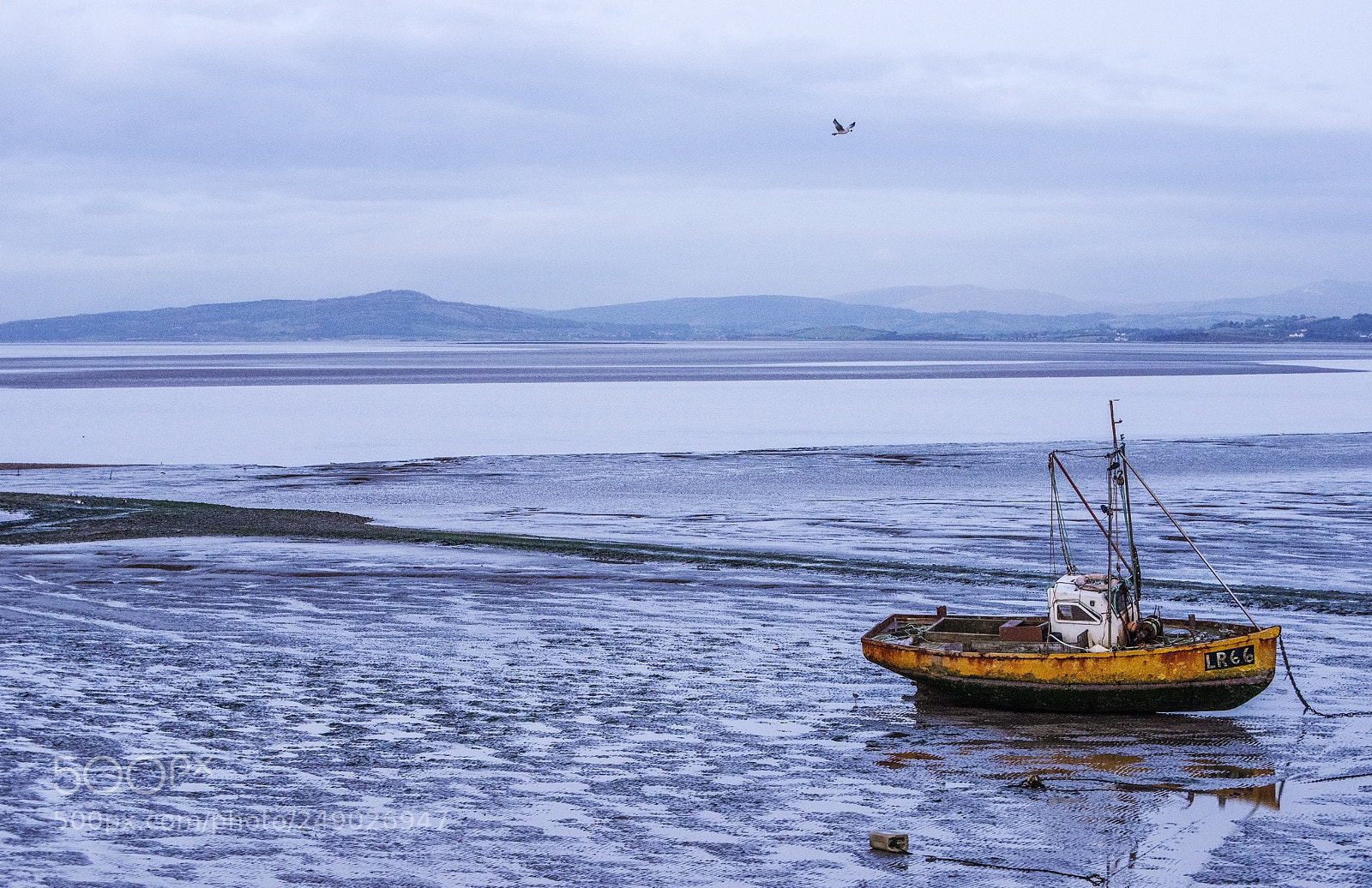 Nikon D600 sample photo. Anchored alone (1) photography