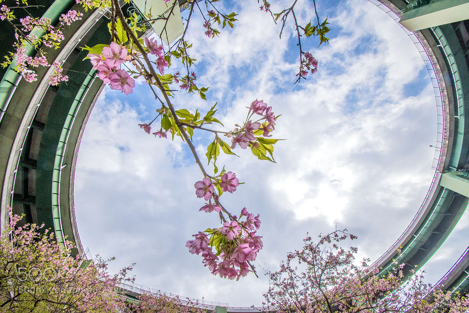 Nikon D7200 sample photo. Spiral bridge photography