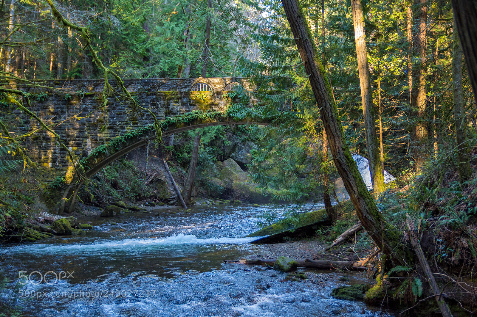 Nikon D7200 sample photo. Whatcom falls park photography