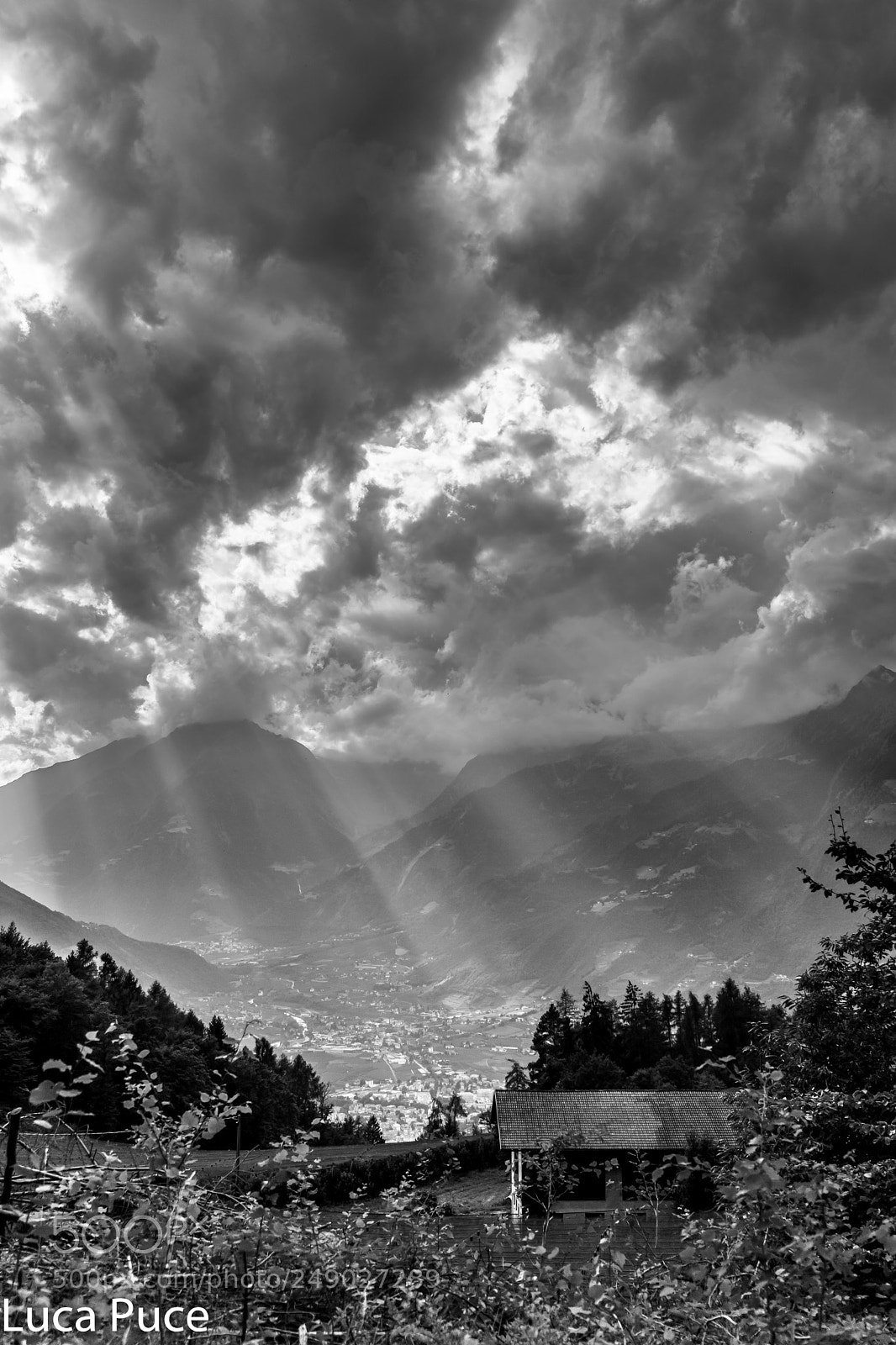 Sony a6000 sample photo. Sunbeams ii photography
