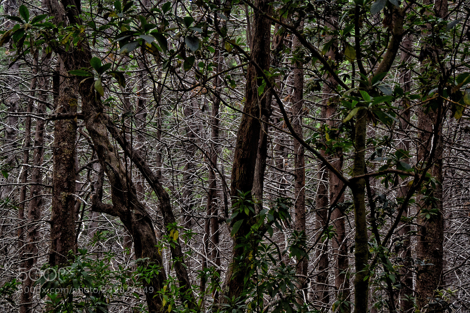 Nikon D3300 sample photo. Untitled photography