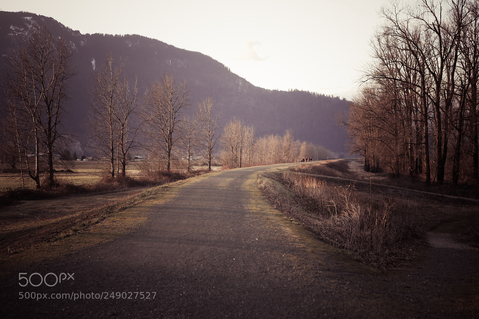 Canon EOS 5DS R sample photo. Walking the dog photography
