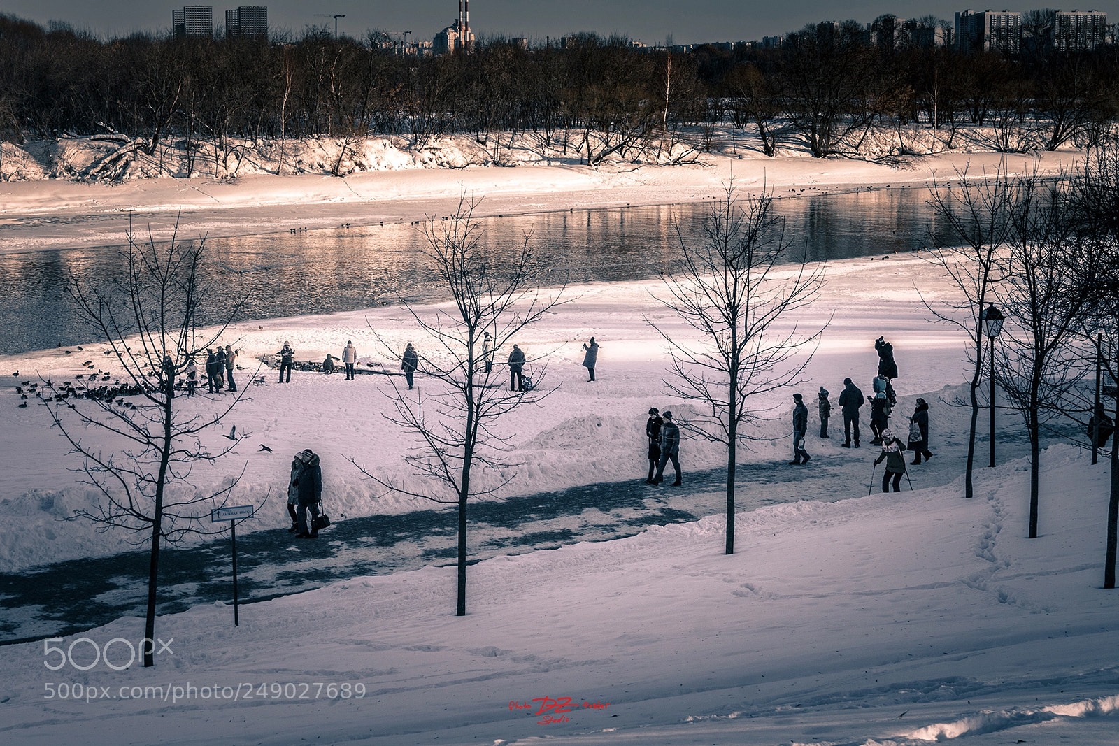 Canon EOS 50D sample photo. In the park 01 photography