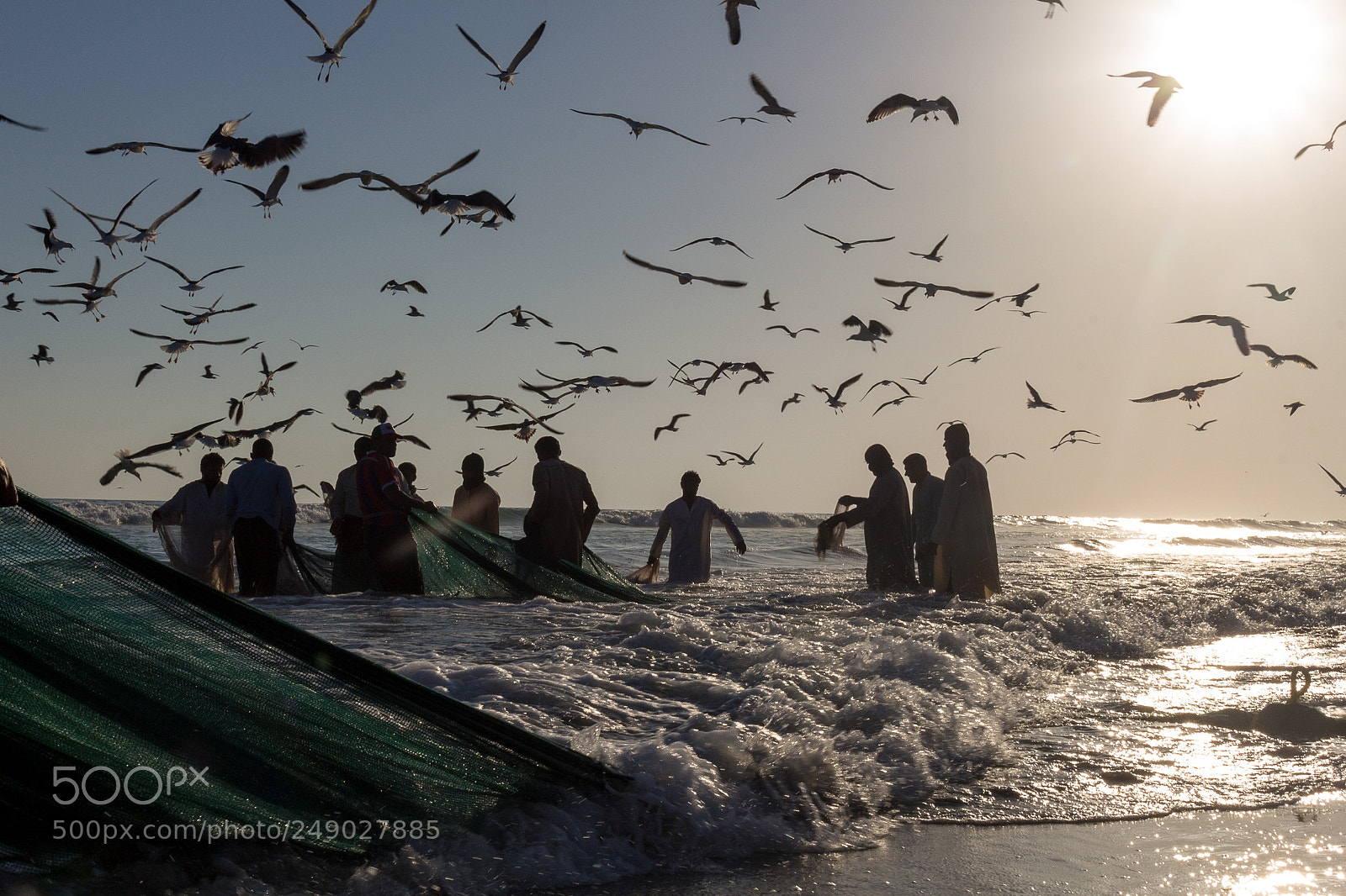 Canon EOS 700D (EOS Rebel T5i / EOS Kiss X7i) sample photo. The sardine fishermen holding photography