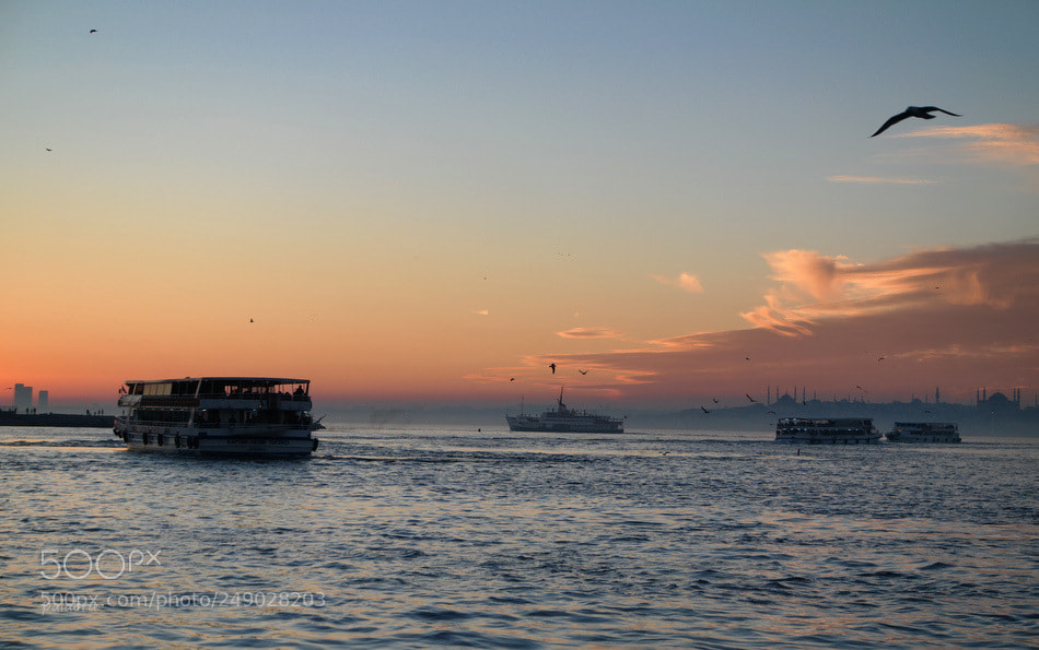 Samsung NX30 sample photo. ... photography