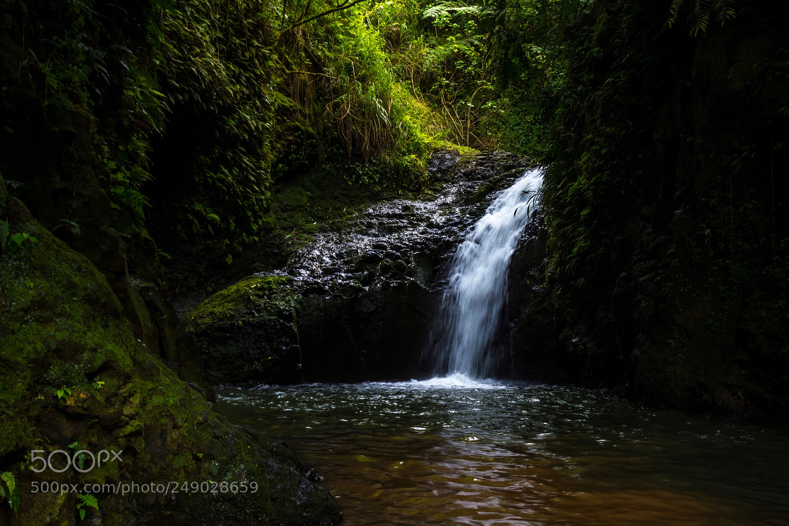 Nikon D5200 sample photo. Maunawili falls photography