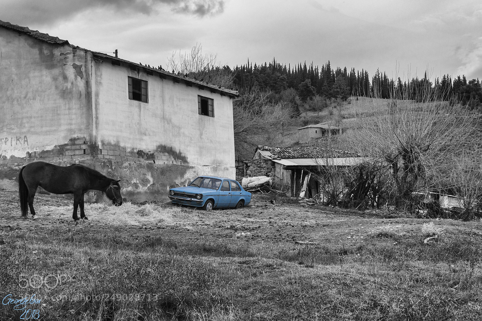 Sony Alpha a3000 sample photo. This kind of slavery photography