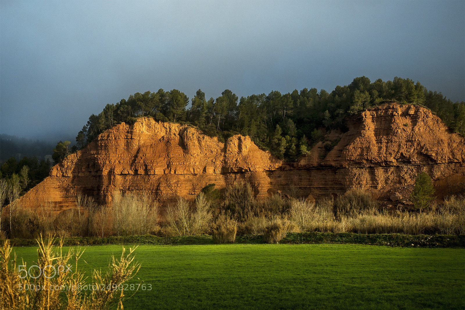Olympus OM-D E-M5 II sample photo. Morning light photography